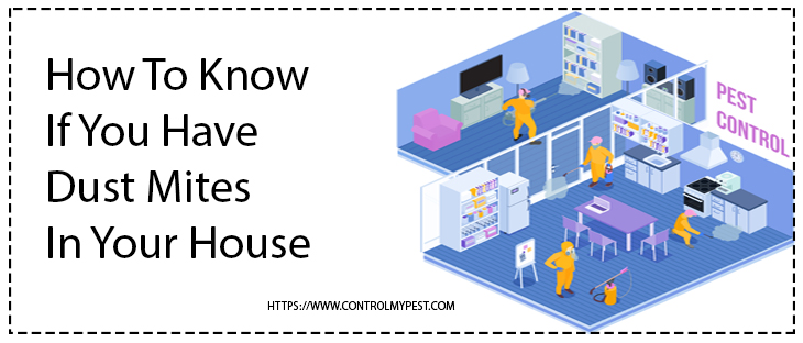 get rid of dustmites, stop dustmites entering into your house, remove dustmites from house